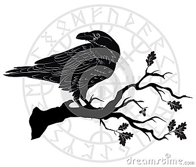 Black crow sitting on a branch of an oak tree, and Scandinavian runes Vector Illustration