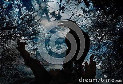 Black crow sitting on old tree in misty forest. Fantasy world Stock Photo