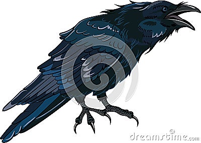 Black crow which caws Cartoon Illustration