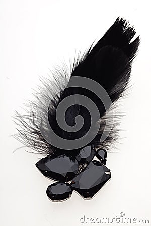 Black crystal and feather brooch Stock Photo