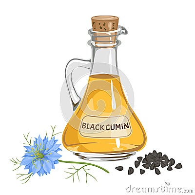 Black cumin oil, seeds and Nigella sativa flower isolated Vector Illustration