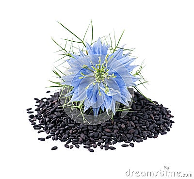 Black cumin seeds with nigella sativa flower Stock Photo