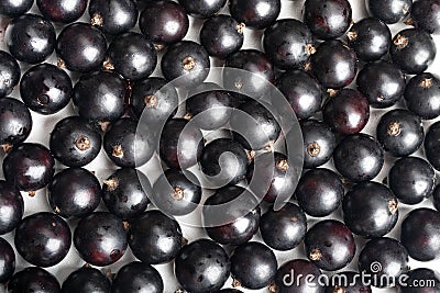 Black currant background on white, top view. Heap of black currant Stock Photo