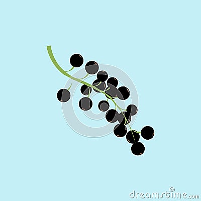 Black currant berry icon Vector Illustration