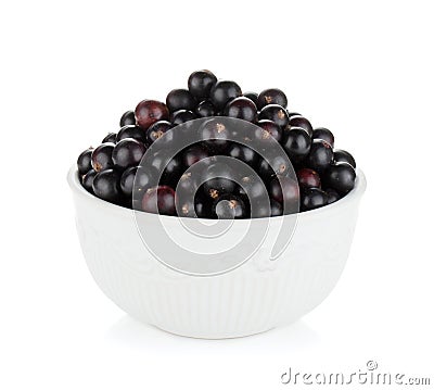 Black currant bowl Stock Photo