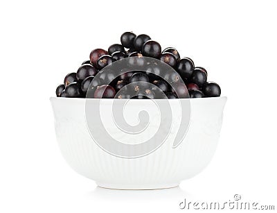 Black currant bowl Stock Photo