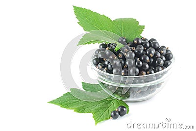 Black currant, green leaves and berries scattered Stock Photo