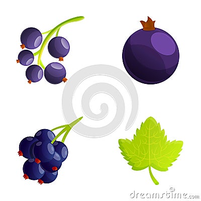 Black currant icons set cartoon vector. Fresh currant berry Vector Illustration