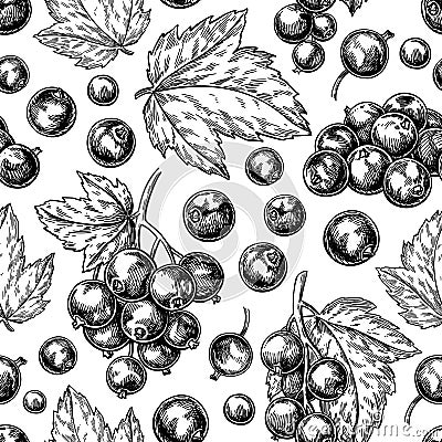 Black currant seamless pattern. Vector drawing. Isolated berry branch sketch on white background. Vector Illustration