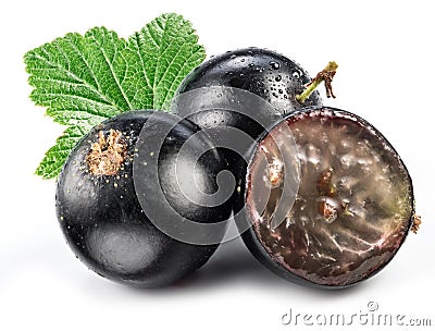 Black currant on the white background. Stock Photo