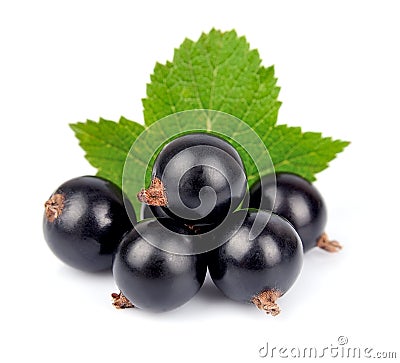 Black currants Stock Photo