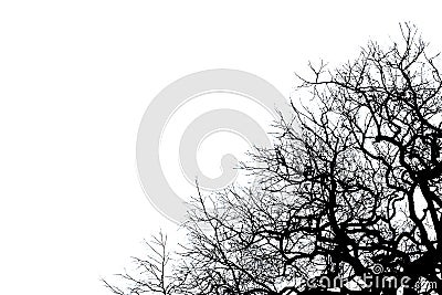 Black dead tree silhouette Stock Photo