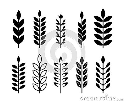 Black decorative wheat, cereals icons. Ears of wheat abstract vector design. Geometric creative organic branches graphic Vector Illustration