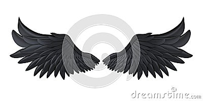 Black Demon Wings Isolated Stock Photo