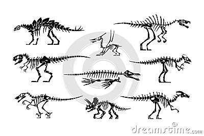 Black dinosaur bones. Dino skeleton and skull silhouettes. Prehistoric animal fossil. Jurassic tyrannosaurus and Vector Illustration