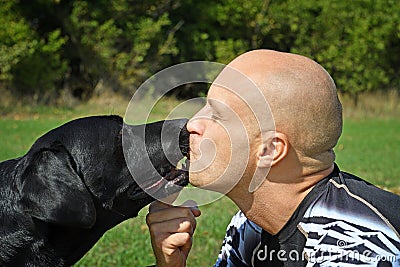 Black dog give kiss man Stock Photo