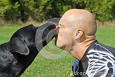 Black dog give kiss man Stock Photo