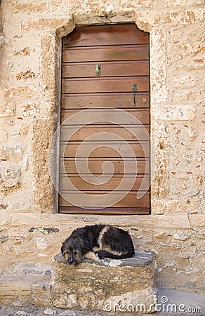 Black dog lying stone step in front wooden door Stock Photo