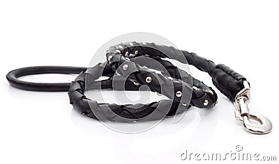 The dog's leash on the white background Stock Photo