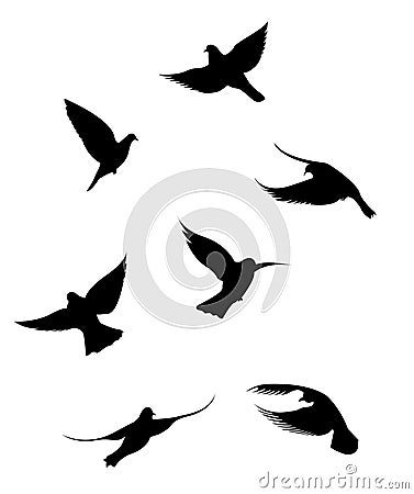 Black doves on a white background Vector Illustration