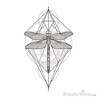 Black dragonfly Aeschna Viridls, isolated on white background. Tattoo sketch. Mystical symbols and insects. Alchemy Vector Illustration