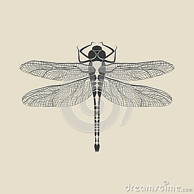 Black dragonfly insect Vector Illustration