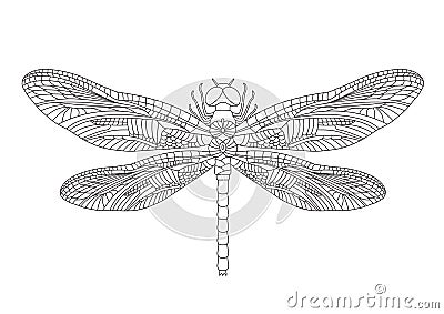 Black dragonfly on white background isolated. Vector Vector Illustration