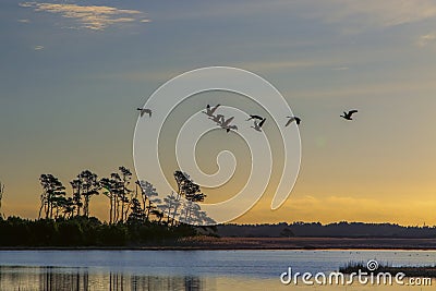 Sunerise on Black duck Marsh. Stock Photo