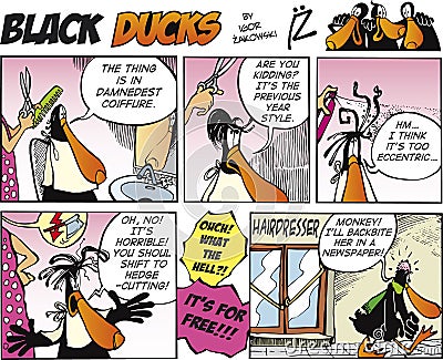 Black Ducks Comic Strip episode 9 Vector Illustration