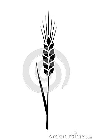 Black ears of wheat. Vector illustration on white isolated background Vector Illustration