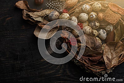 Black eggs in a nest of dry branches on a black board. Easter style Stock Photo