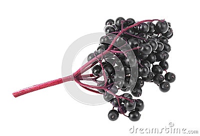 Black elderberry fresh fruit isolated on white background. Black elder berries. European black elderberry Stock Photo