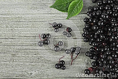 Black elderberry with green leaves on wooden desk. Elder plant berries. European black elderberry Stock Photo