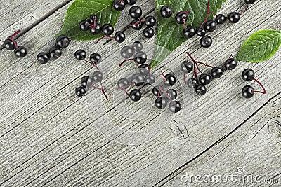 Black elderberry with green leaves on wooden desk, top view. Elder plant berries. European black elderberry Stock Photo