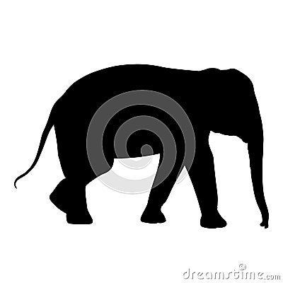 Black elephant silhouette Asia walking, graphics disign vector outline Illustration isolated Vector Illustration