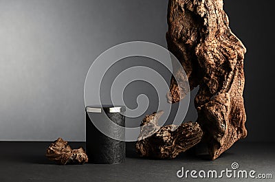 Black empty podium and dried snag on a black background Stock Photo