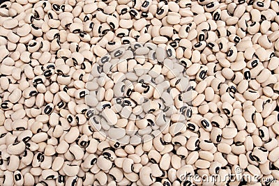 Black Eyed Beans 5154 Stock Photo