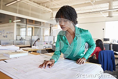 Black female architect studying plans in open plan office Stock Photo