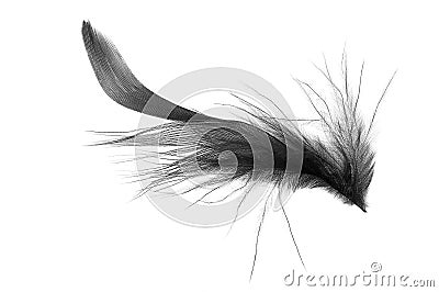 Black fluffy feather Stock Photo