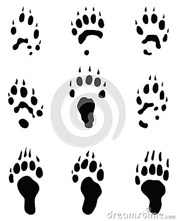 Black footprints of polecat Stock Photo