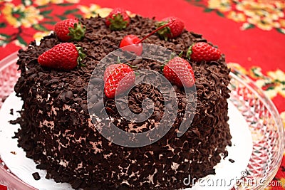 Black Forest Cake Stock Photo