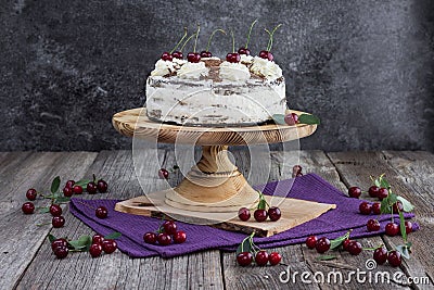 Black forest cake, or traditional austria schwarzwald cake from dark chocolate and sour cherries Stock Photo