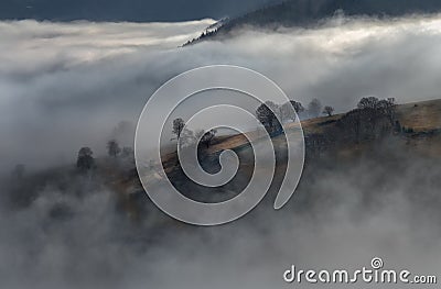 Black Forest Mountains Landscapennature Trees Fog Germany Schwarzwald Schauinsland Stock Photo