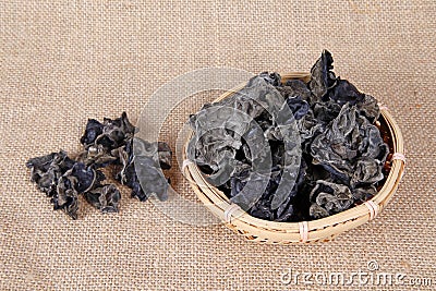 Black fungus, close-up Stock Photo