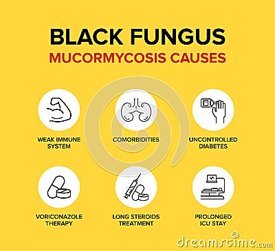 Black Fungus or Mucormycosis Causes in human bodies. Vector Illustration