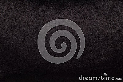 Black Fur - background. Stock Photo