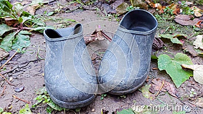 Black galoshes in the garden, a pair of old black dirty galoshes in the garden are in the garden Stock Photo