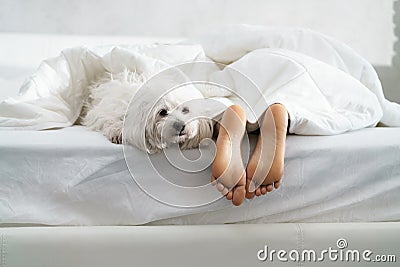 Black Girl Sleeping In Bed With Dog And Showing Feet Stock Photo