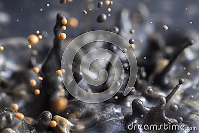 Black and gold paint Stock Photo