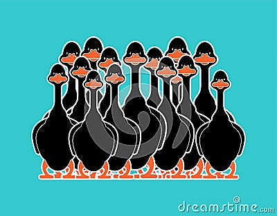 Black goose flock isolated cartoon. domestic waterfowl family. vector illustration Vector Illustration